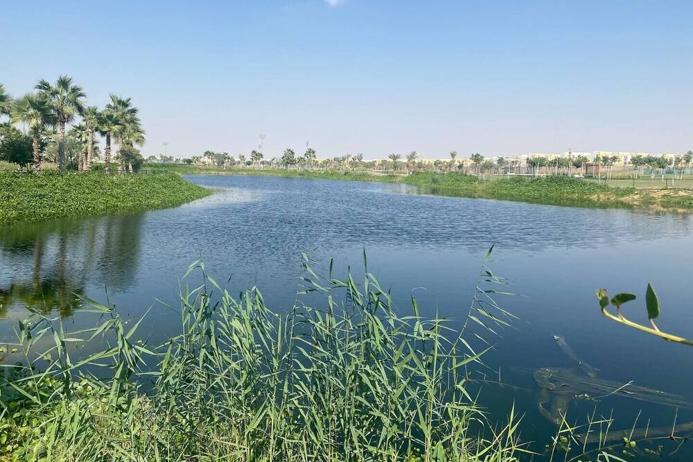 Photo of Others in Dubai