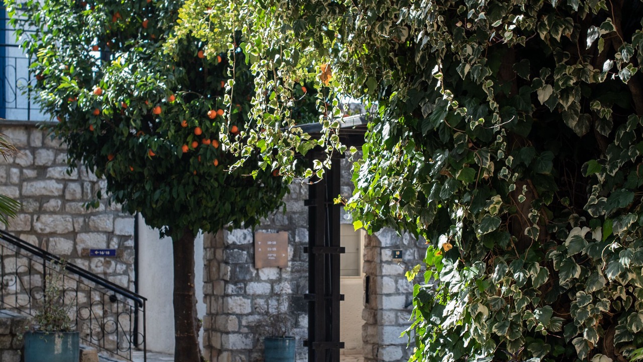 Photo of Outdoor in Artists Colony