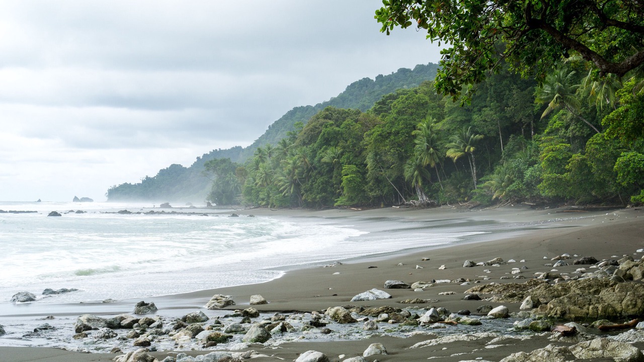 Photo of Others in Dominical