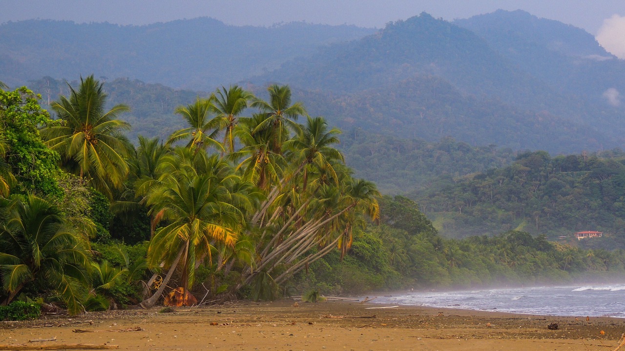 Photo of Others in Dominical