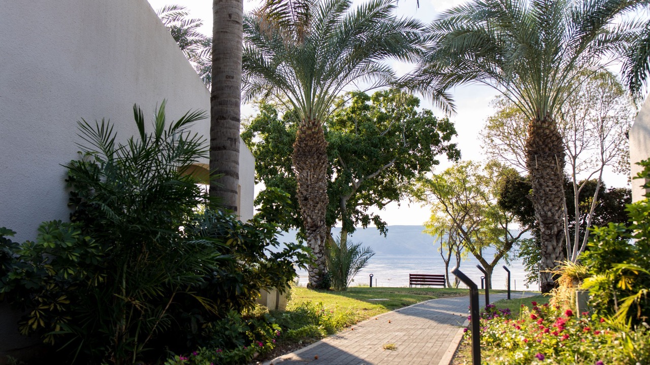 Photo of Outdoor in Ein Gev