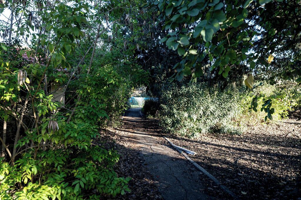 Photo of Outdoor in Nes Ammim