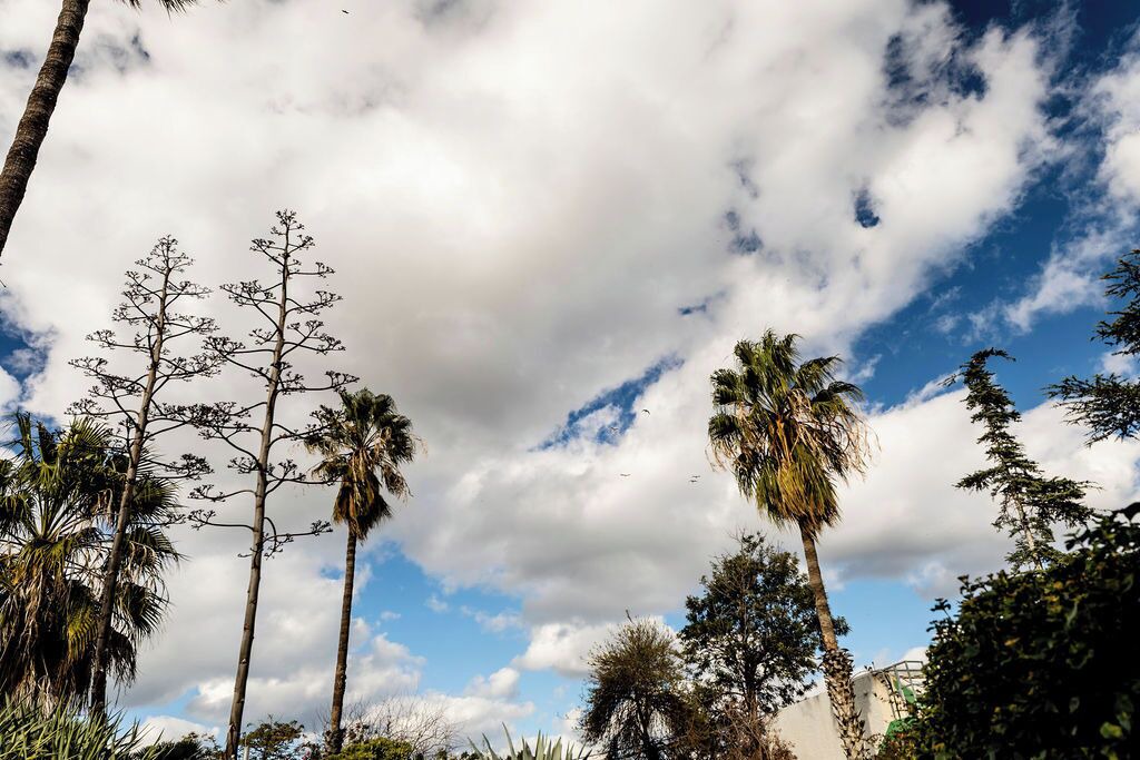 Photo of Outdoor in Nes Ammim