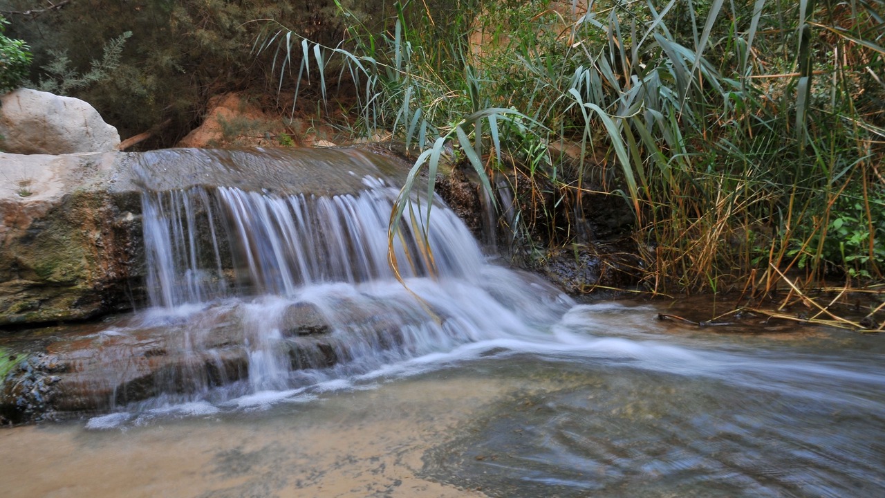 Photo of Outdoor in Ein Gedi