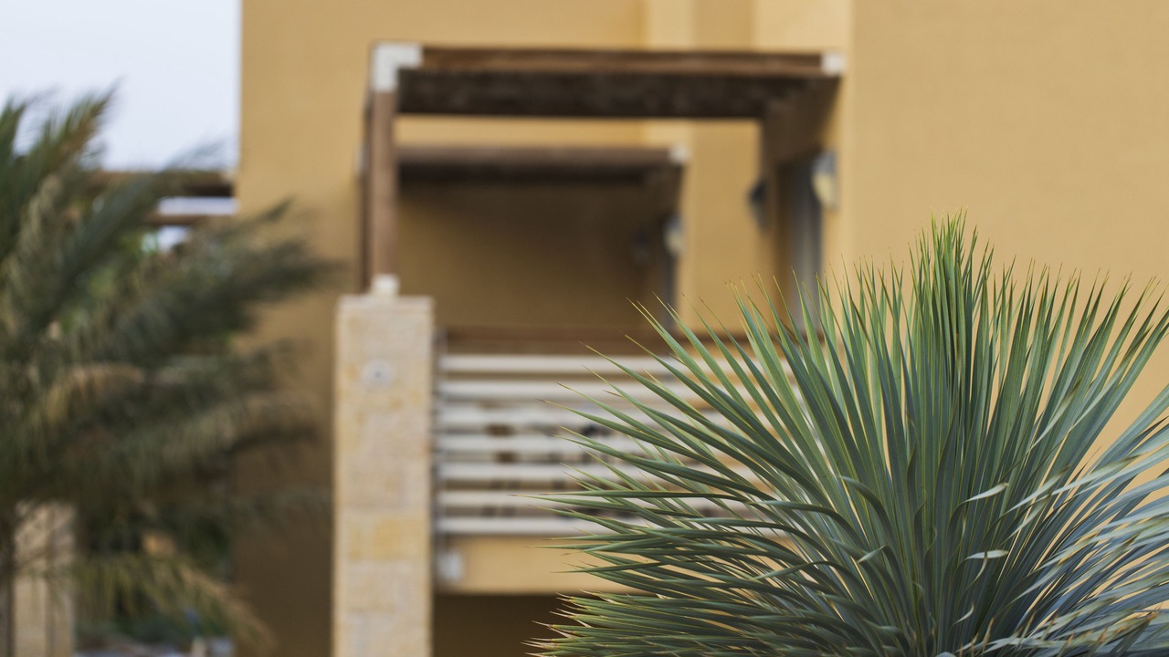 Photo of Bedroom in Ein Gedi