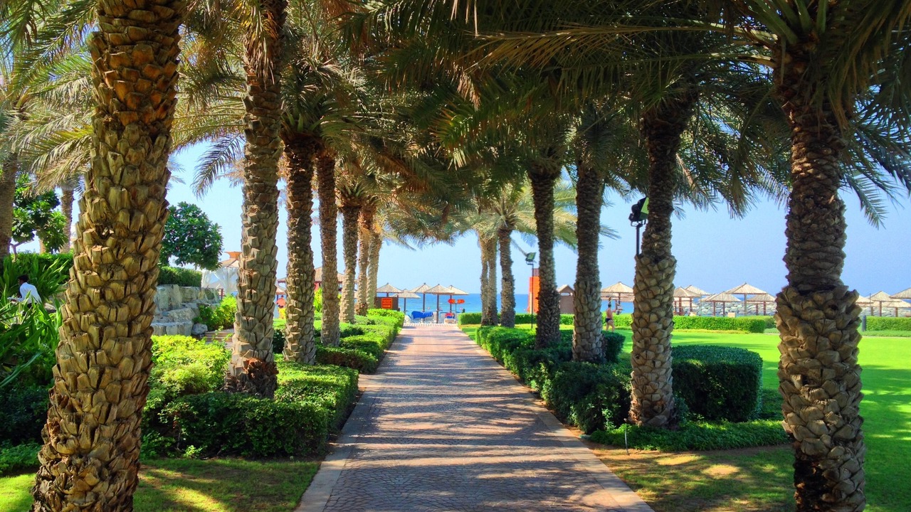 Photo of Outdoor in Beach & Coast
