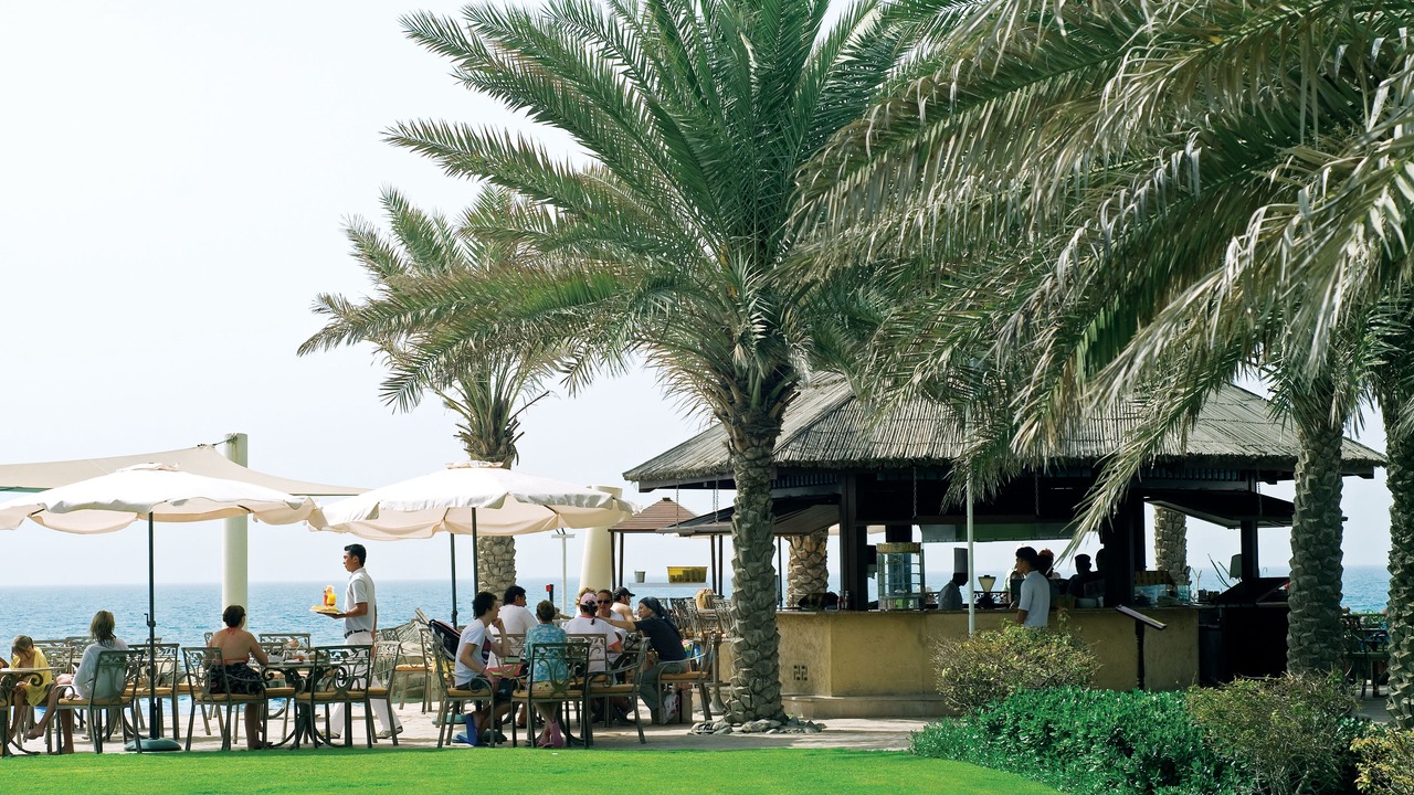 Photo of Outdoor in Beach & Coast