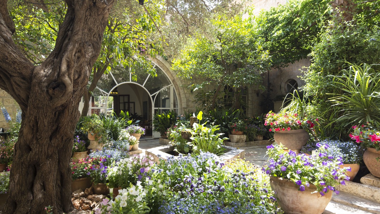 Photo of Outdoor in Jerusalem