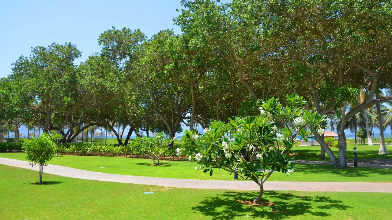 Photo of Outdoor in Salalah