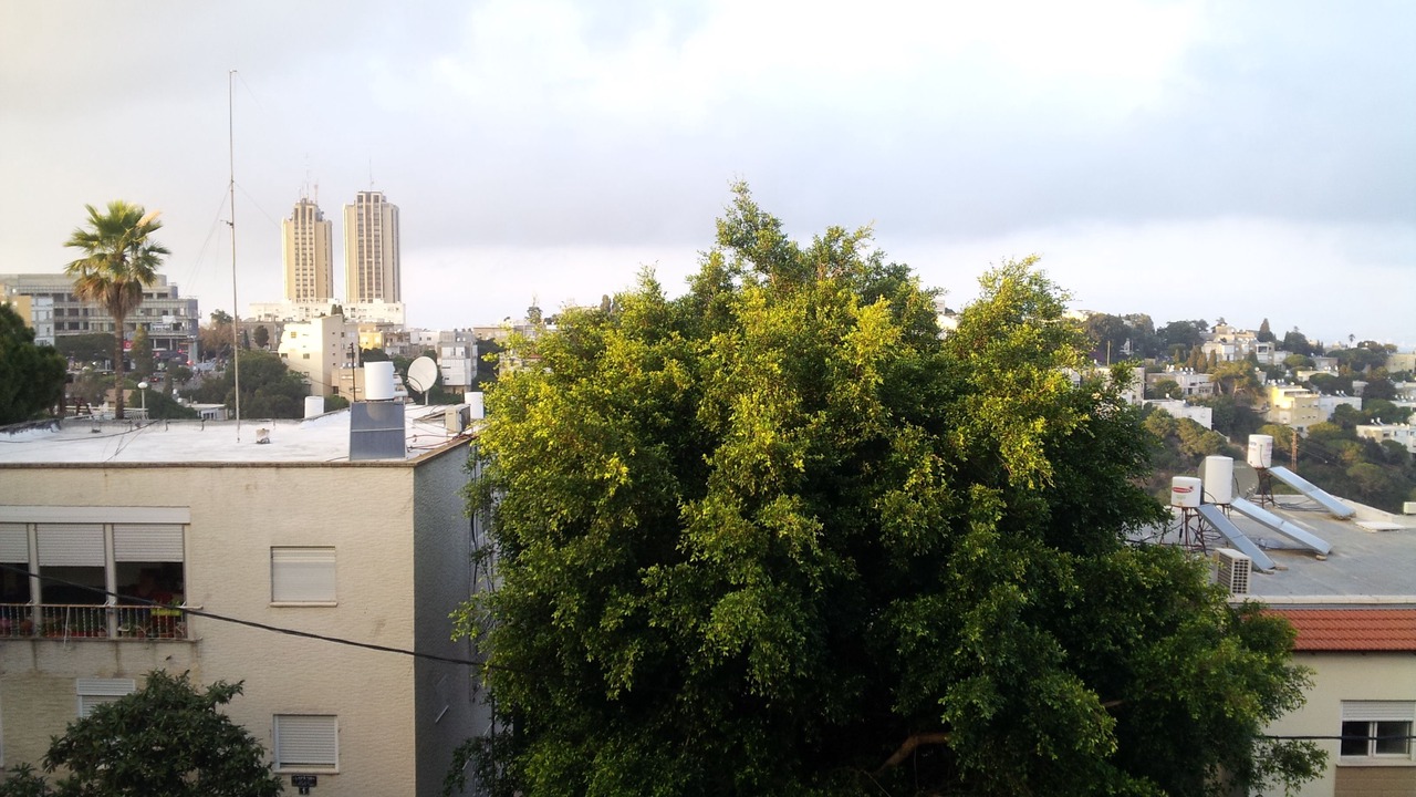 Photo of Outdoor in Haifa