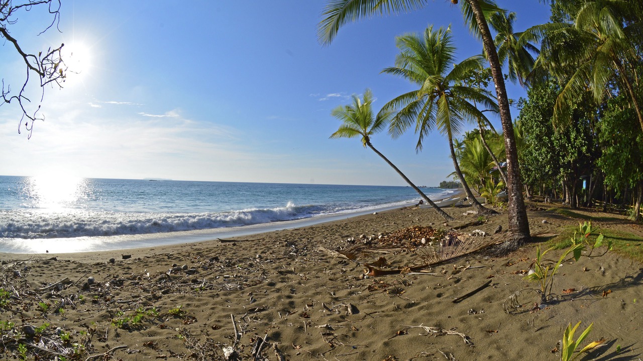 Photo of Others in Drake Bay