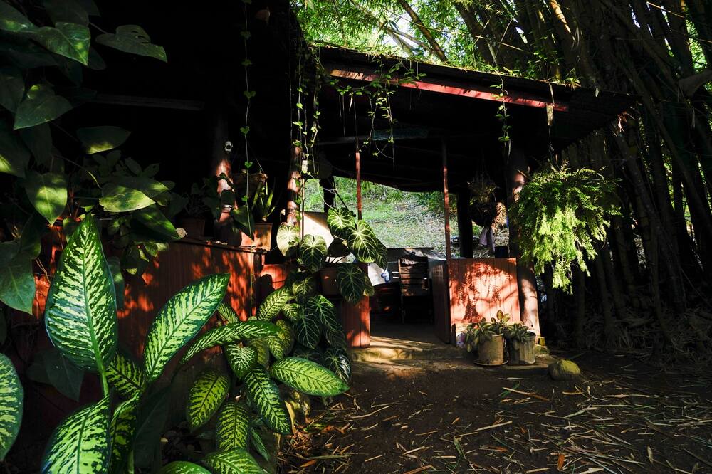 Photo of Others in Playa Hermosa