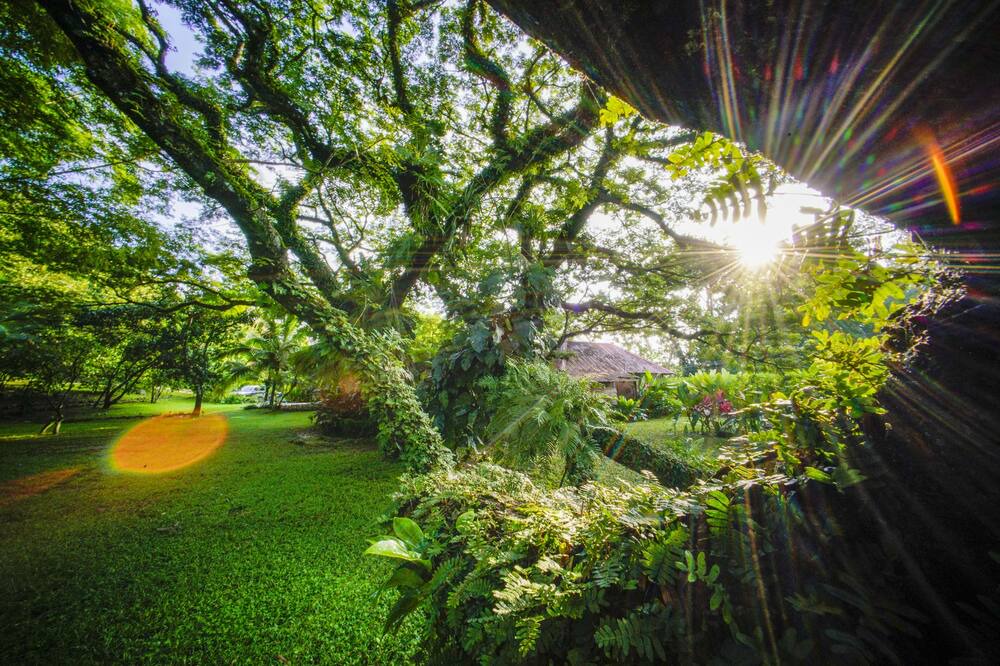 Photo of Outdoor in Playa Hermosa