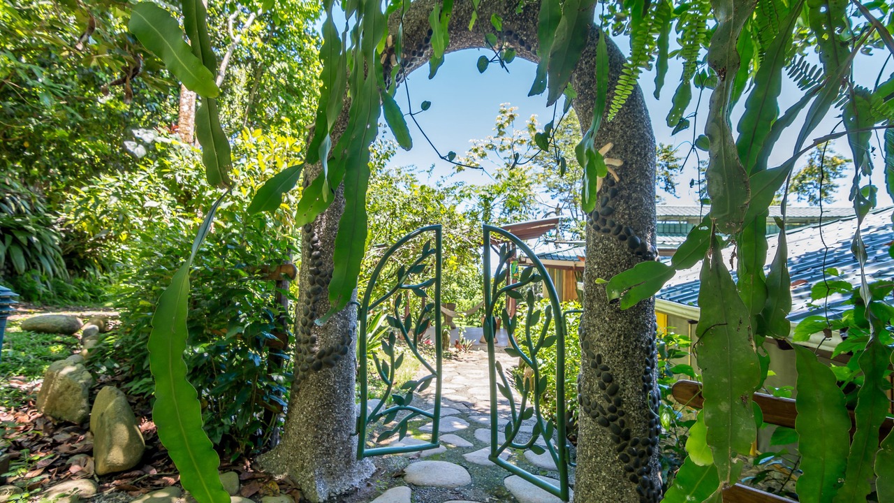 Photo of Outdoor in Ballena