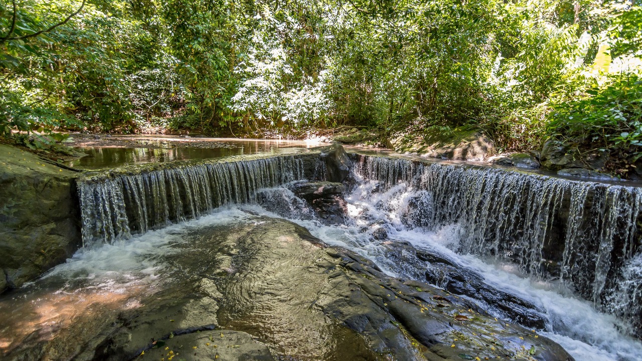 Photo of Outdoor in Ballena