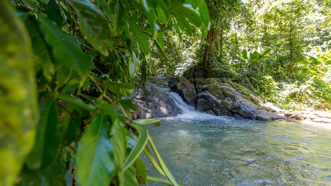 Photo of Outdoor in Ballena