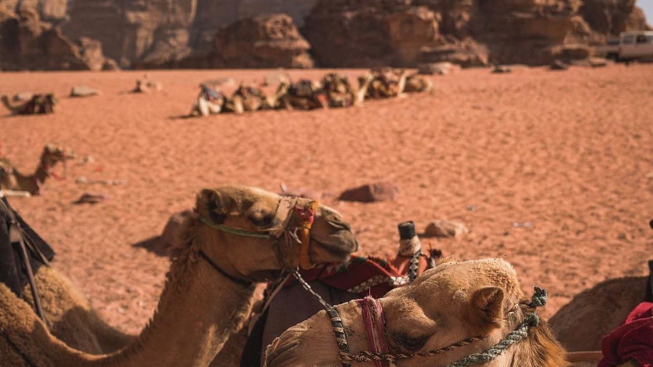 Photo of Others in Wadi Rum