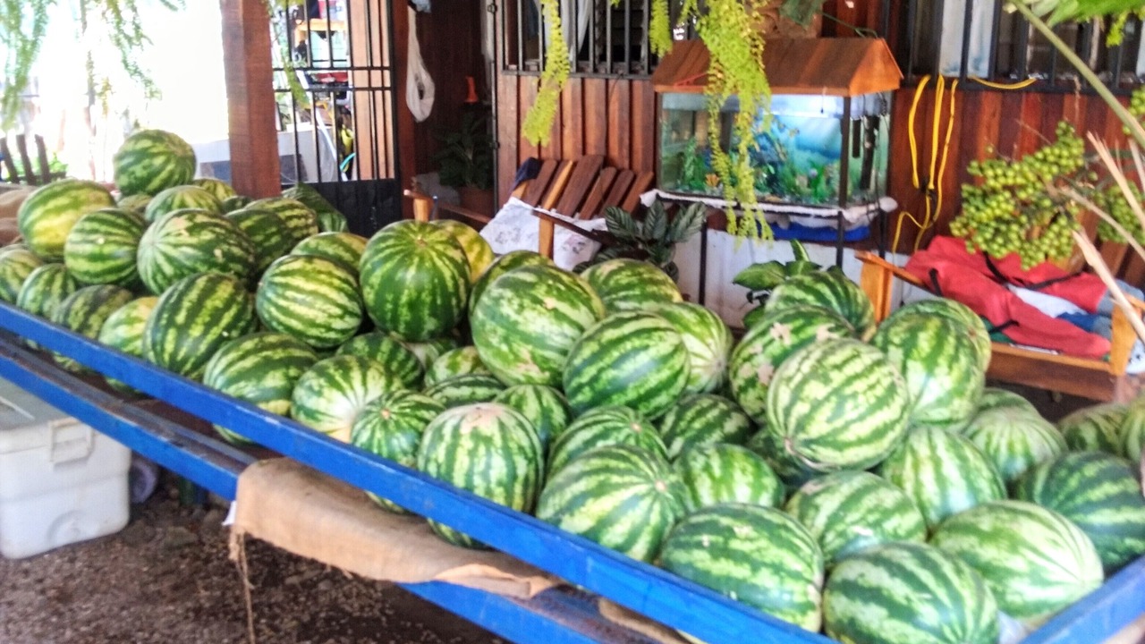 Photo of Outdoor in Playa Negra