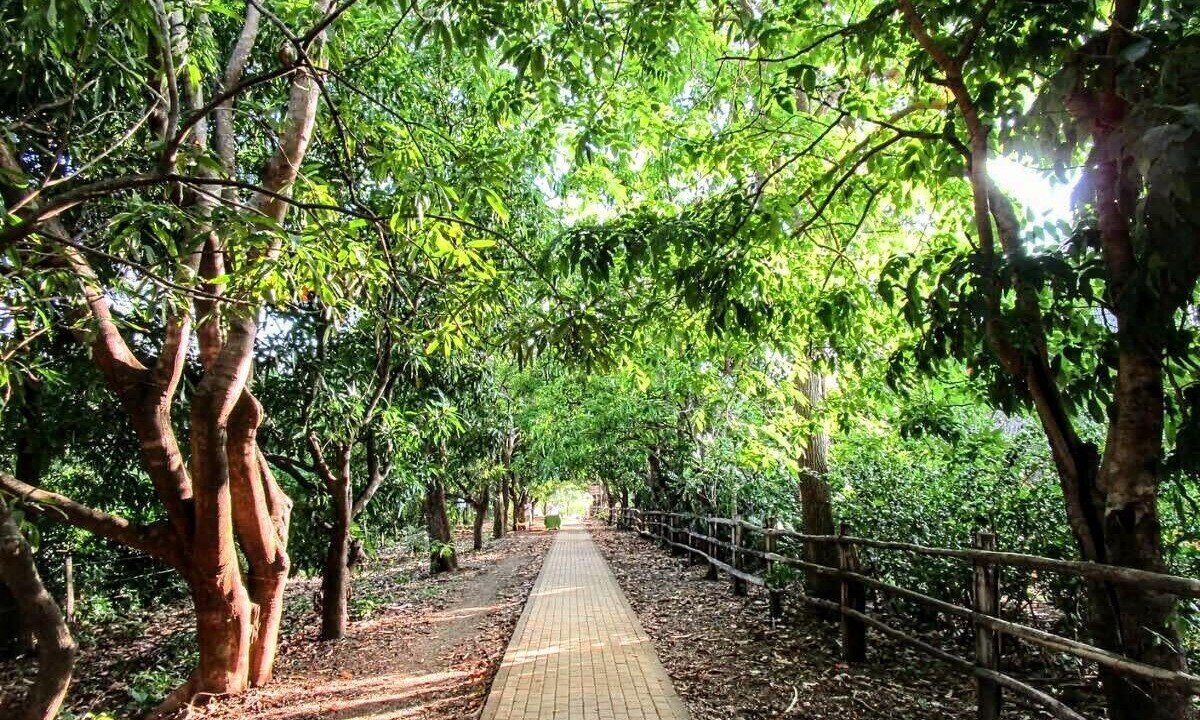 Photo of Outdoor in Playa Negra