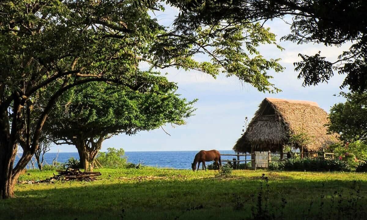 Photo of Outdoor in Playa Negra