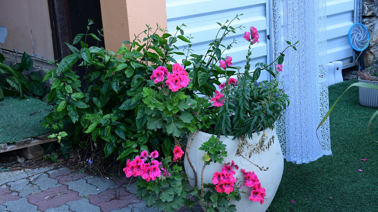 Photo of Outdoor in Beit Hillel