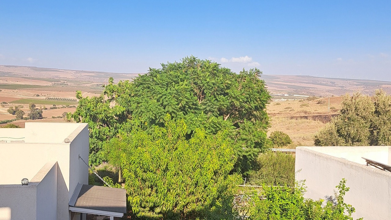Photo of Others in Ein Dor