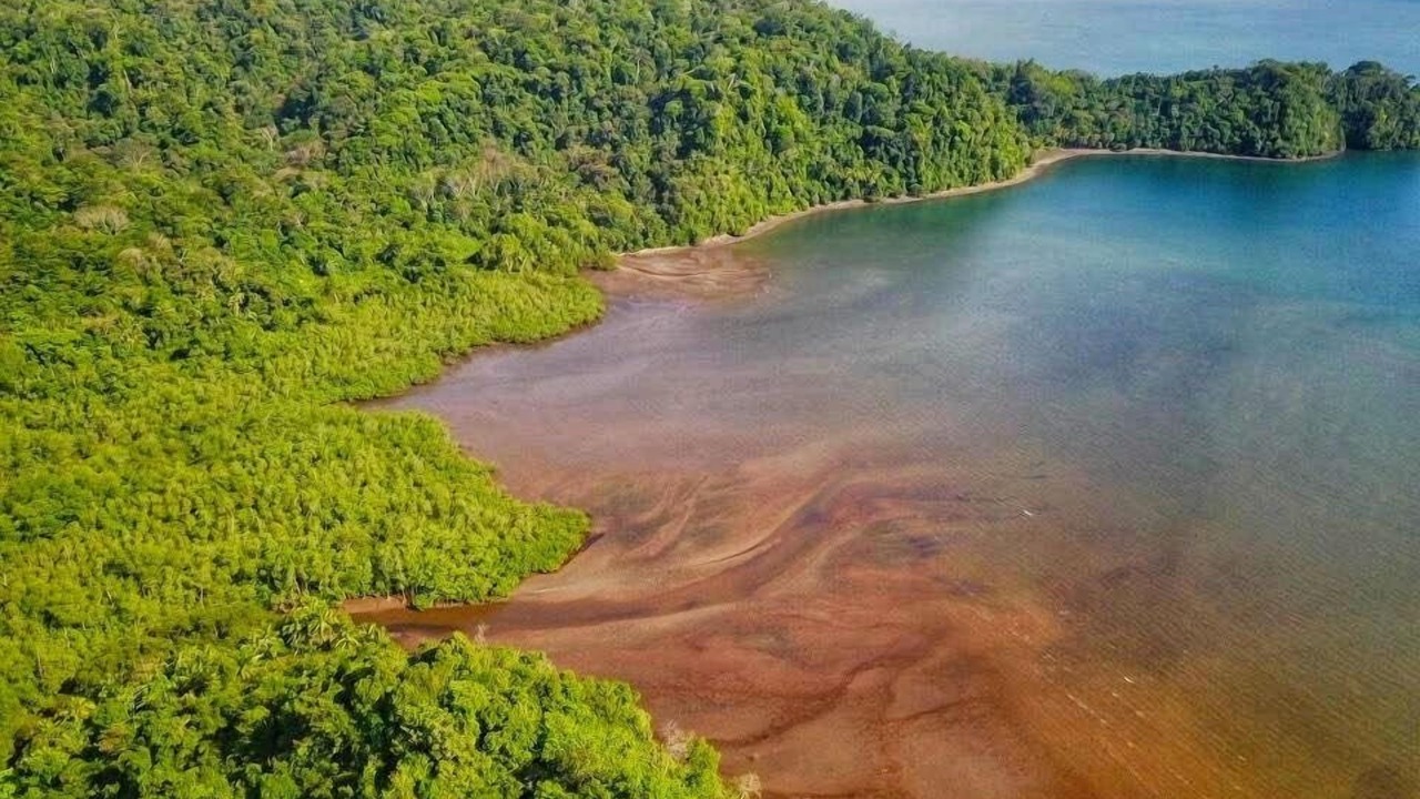 Photo of Outdoor in Drake Bay