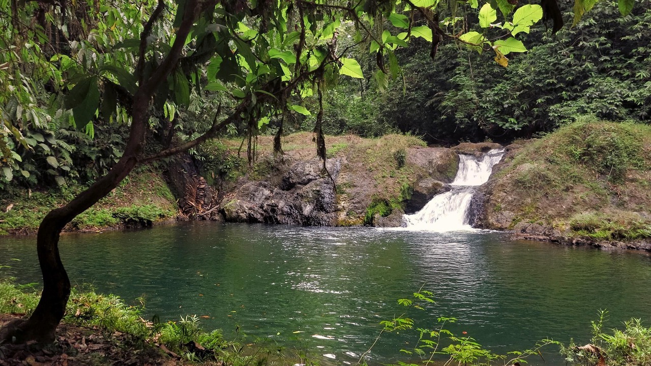 Photo of Outdoor in Drake Bay