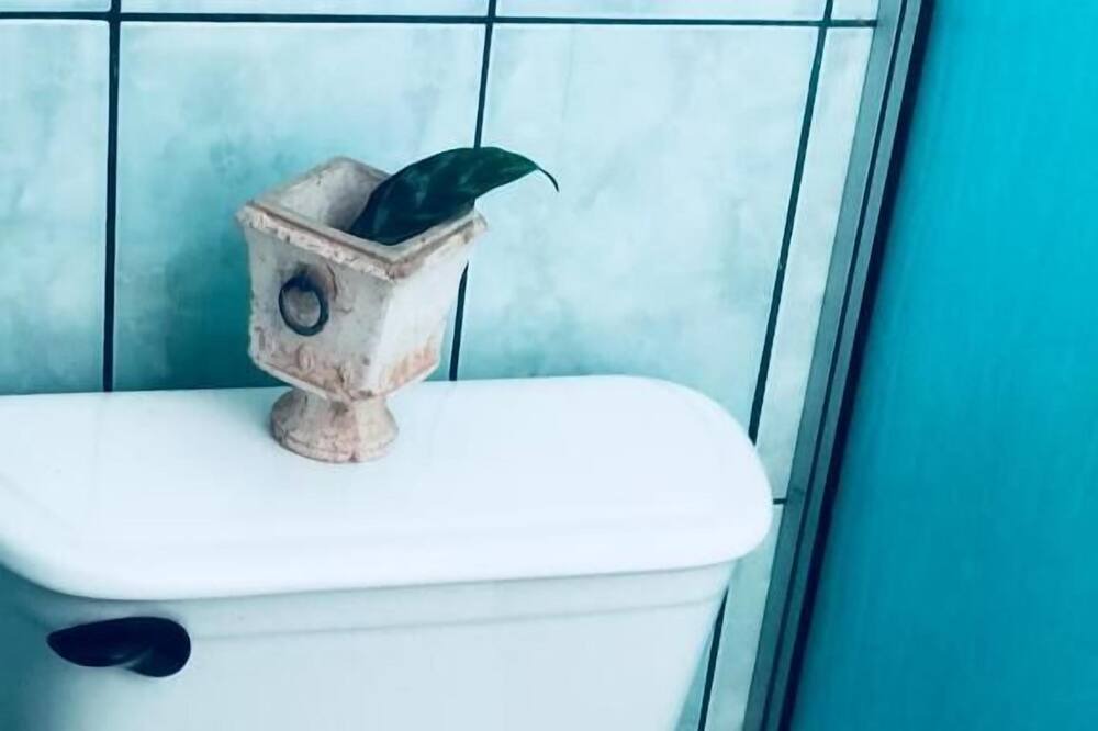 Photo of Bathroom in Desamparados
