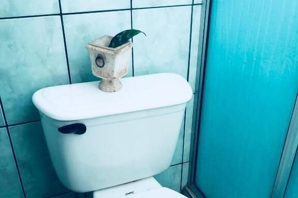 Photo of Bathroom in Desamparados