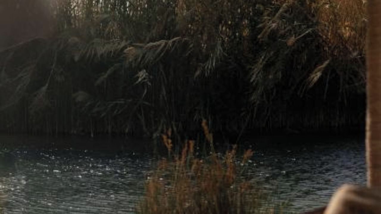 Photo of Outdoor in HaArava HaTikhona