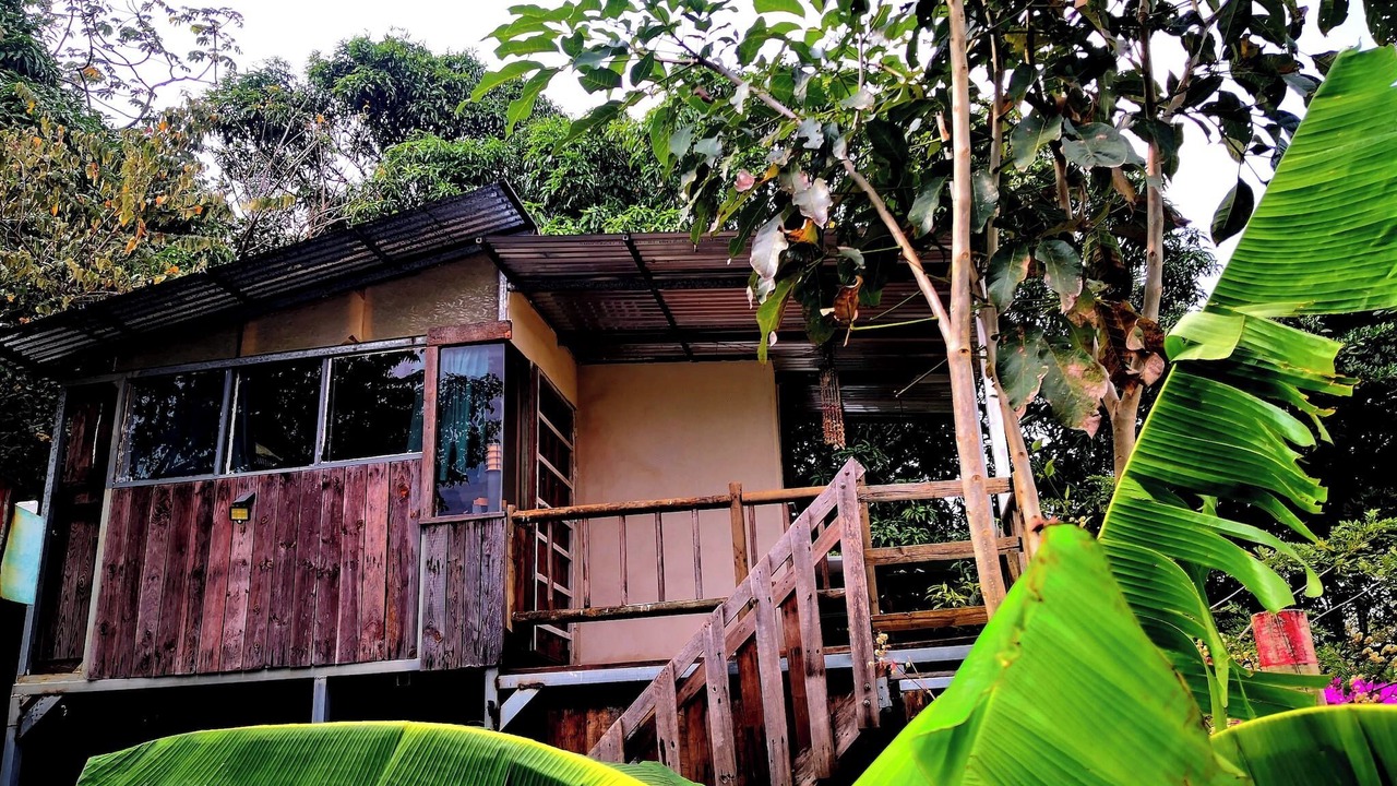 Photo of Outdoor in La Cruz
