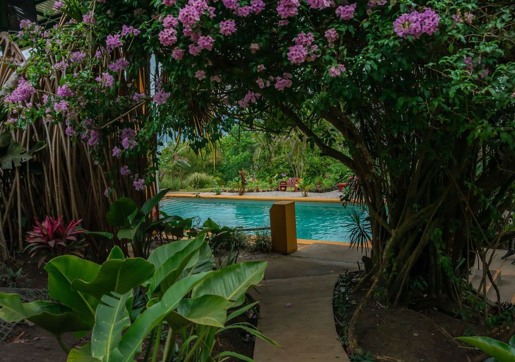 Photo of Outdoor in Angeles