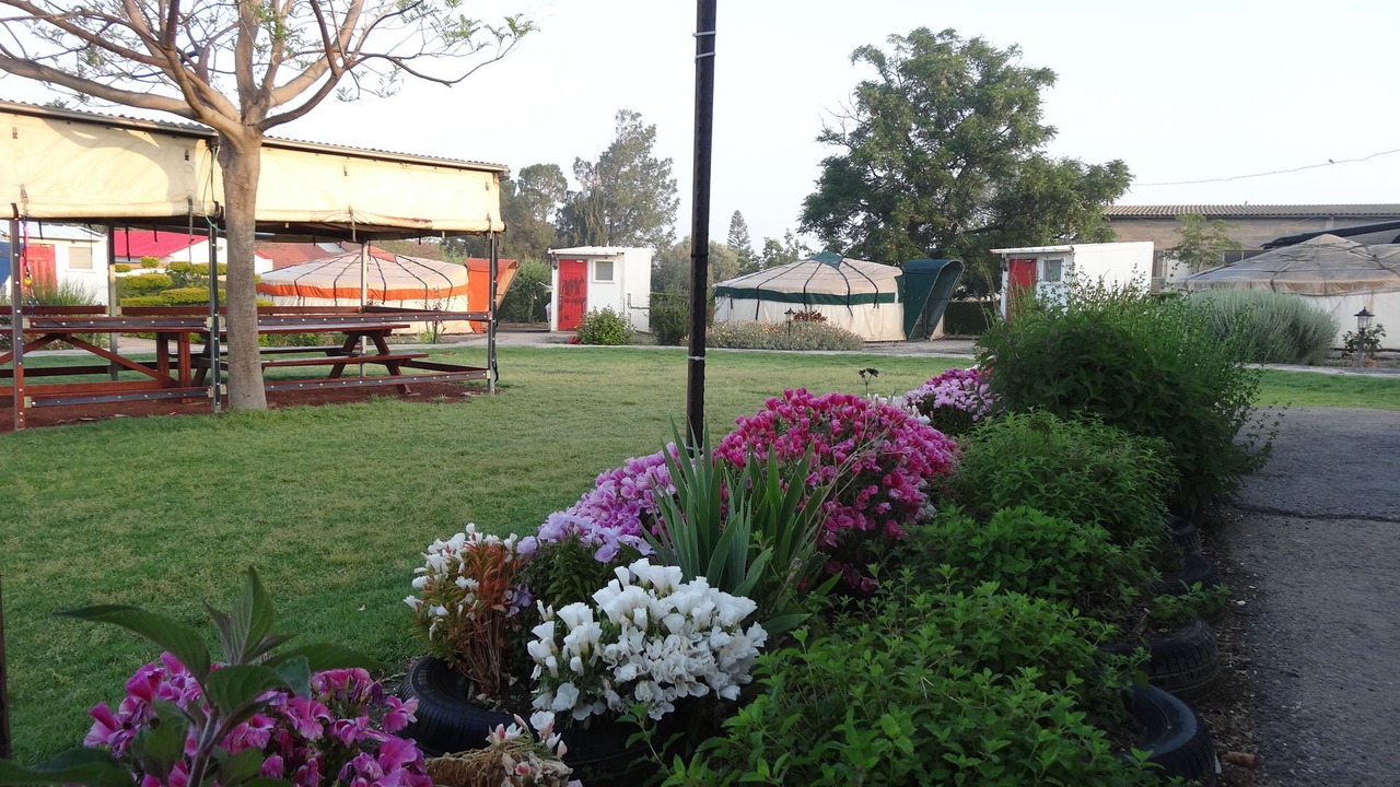 Photo of Outdoor in Giv'at Yo'av