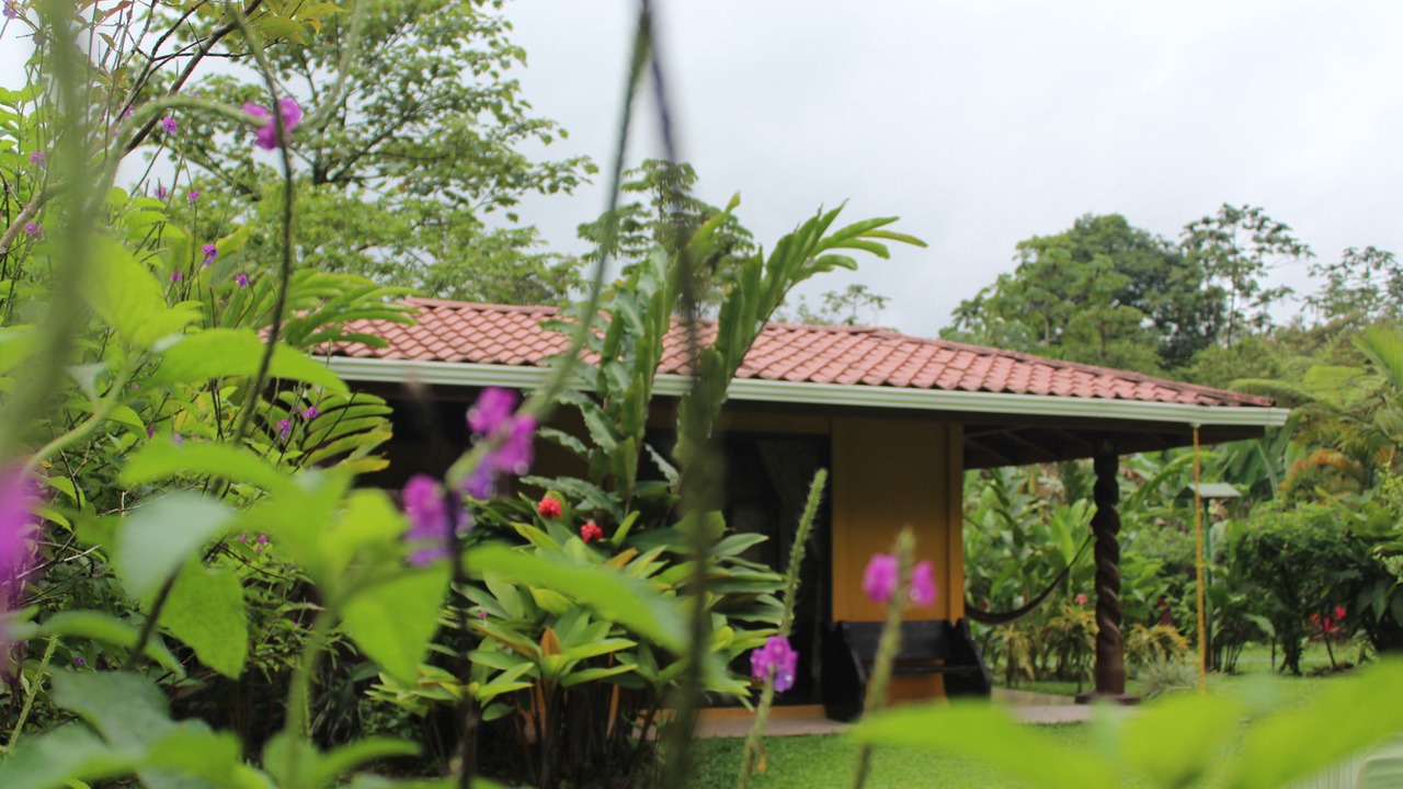 Photo of Outdoor in Katira