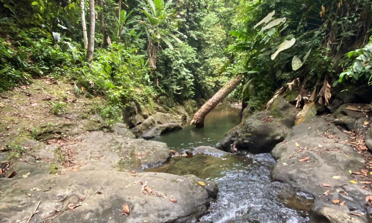 Photo of Others in Cahuita