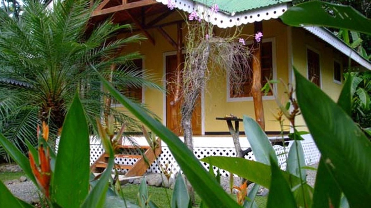 Photo of Outdoor in Cahuita
