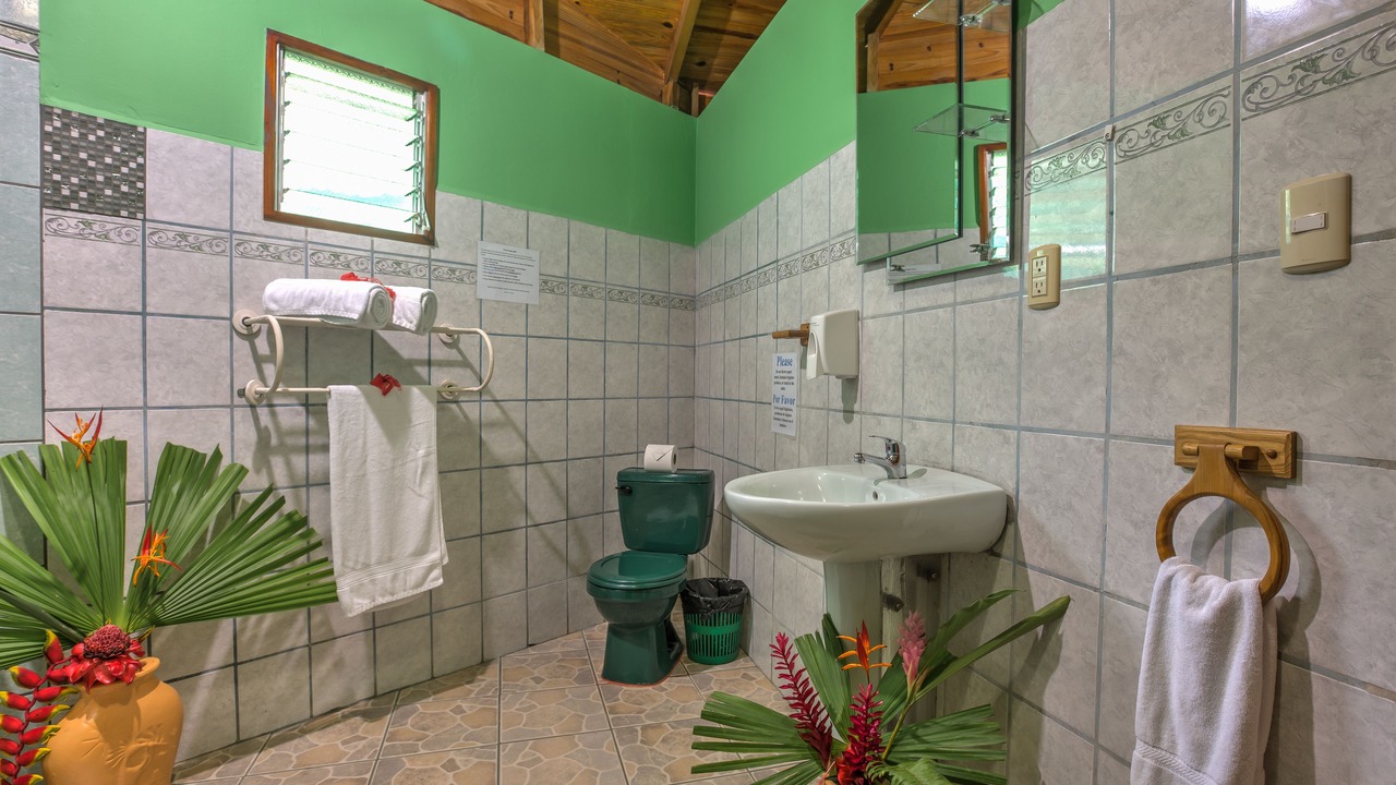 Photo of Bathroom in Cahuita