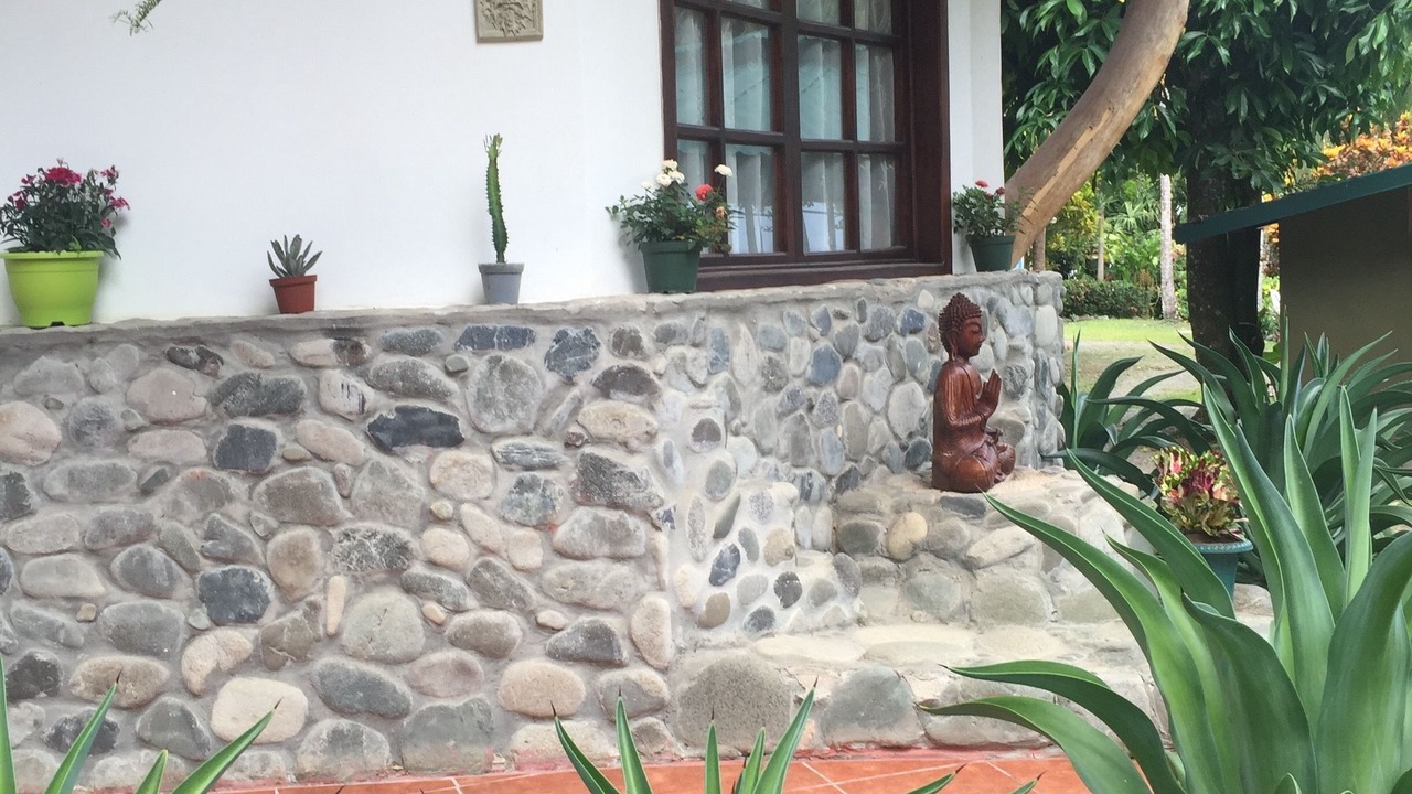 Photo of Outdoor in Cahuita