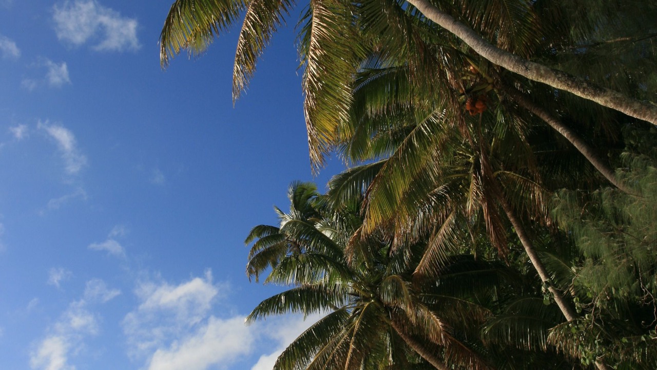 Photo of Others in Cahuita