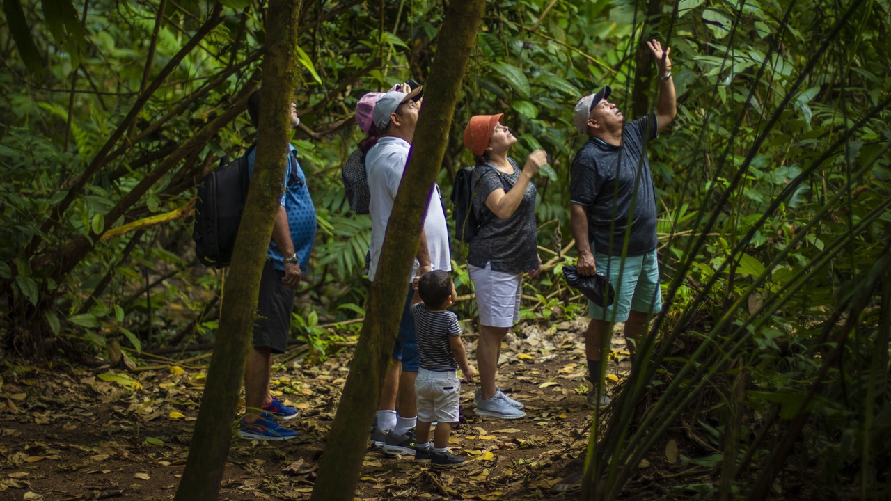 Photo of Outdoor in La Fortuna