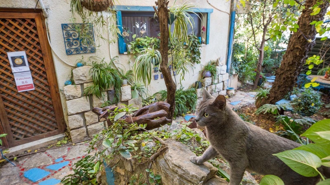 Photo of Outdoor in Rosh Pinna
