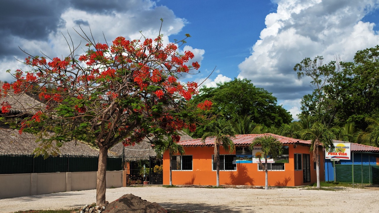 Photo of Outdoor in Playa Flamingo