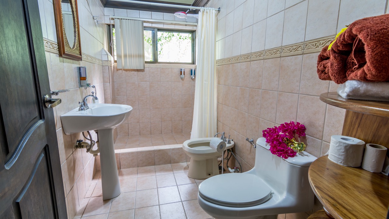 Photo of Bathroom in Damas