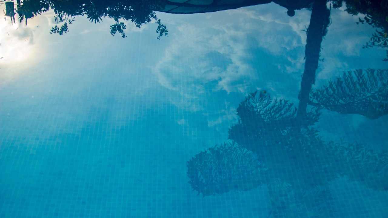 Photo of Outdoor in Damas