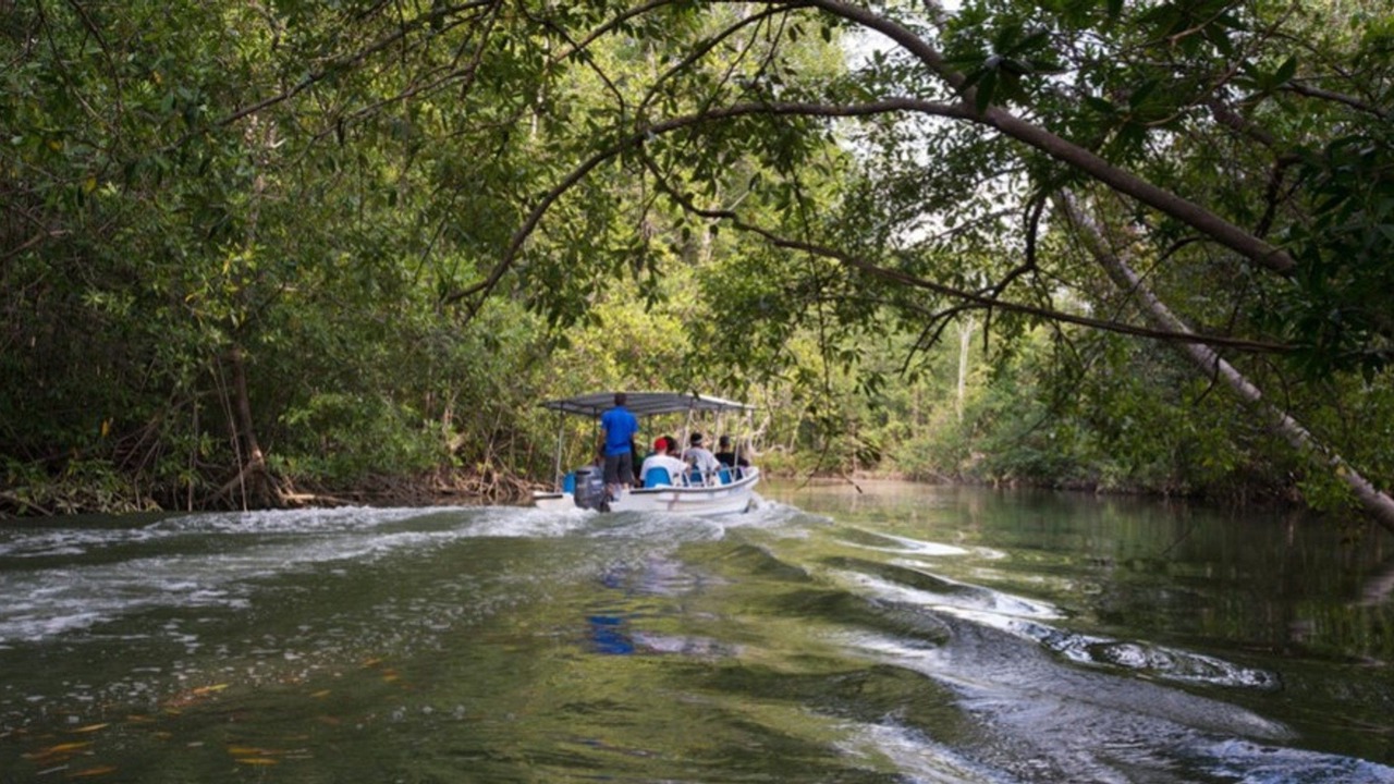 Photo of Outdoor in Damas