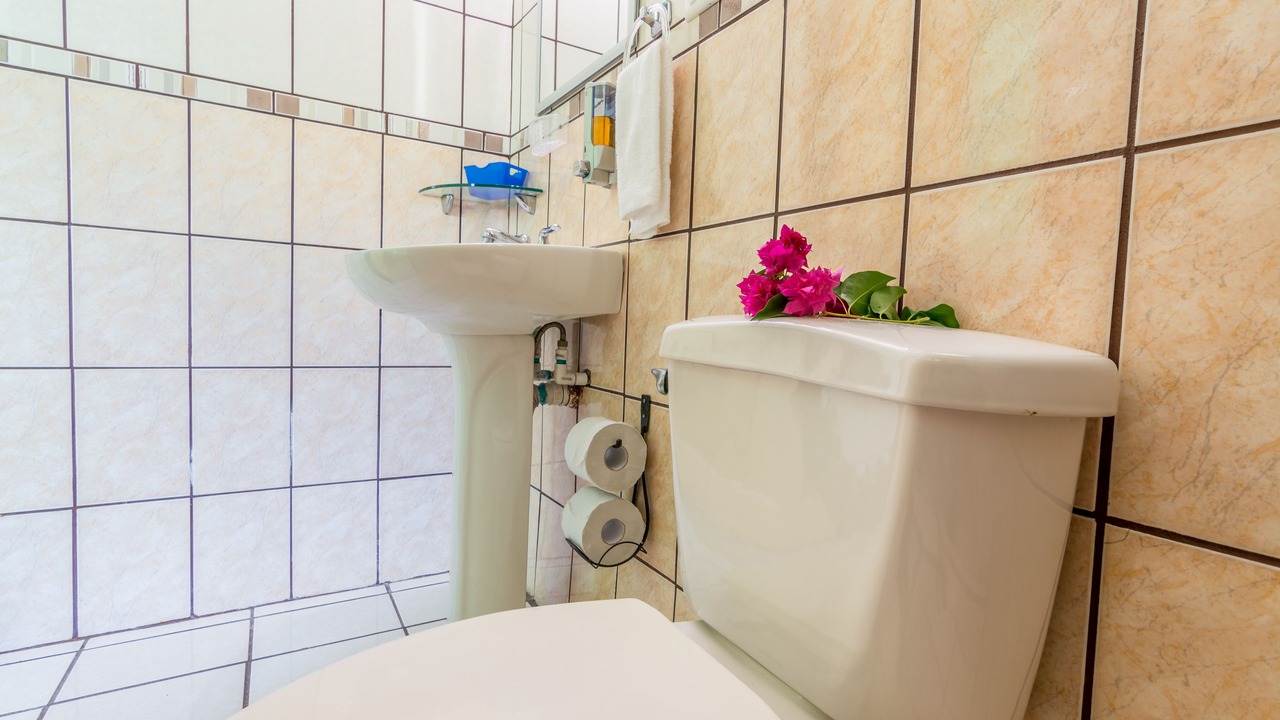 Photo of Bathroom in Damas