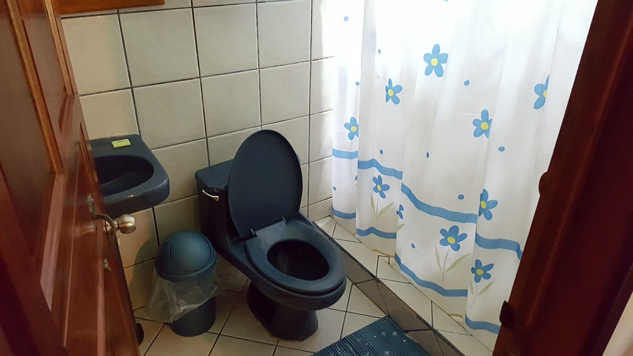 Photo of Bathroom in Cahuita