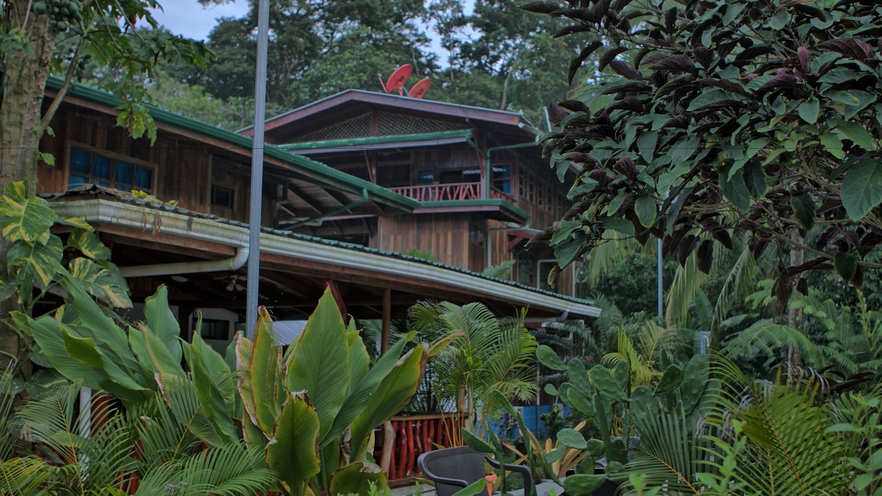 Photo of Outdoor in Cahuita