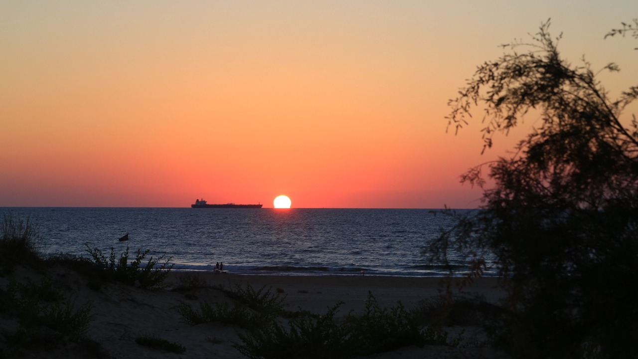 Photo of Others in Ashkelon